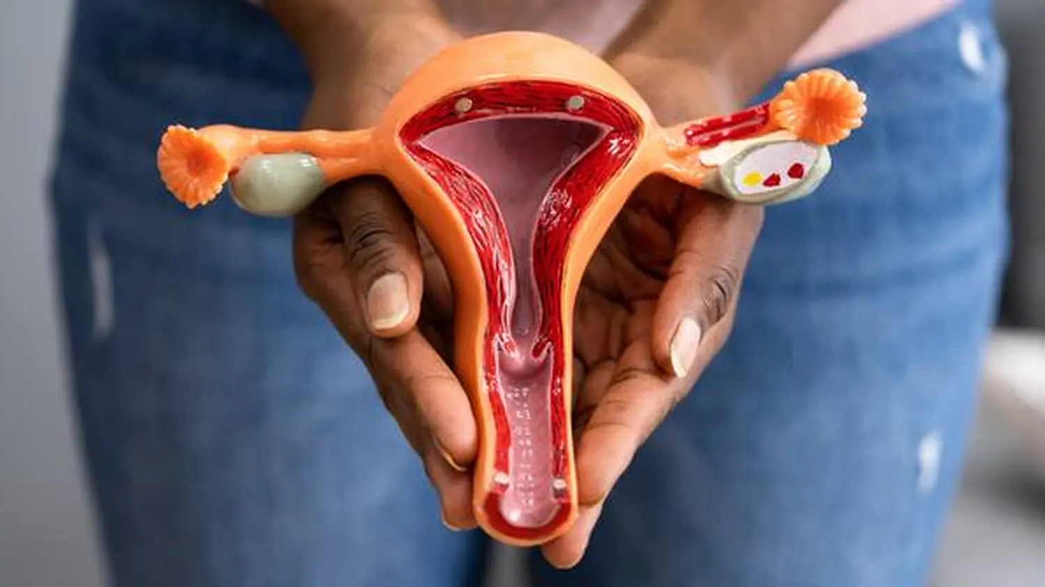 Frauenarztpraxis-Faur - Gynäkologie und Geburtshilfe - Die Hände einer Person halten ein anatomisches Modell des weiblichen Fortpflanzungssystems, einschließlich Gebärmutter und Eierstöcke.